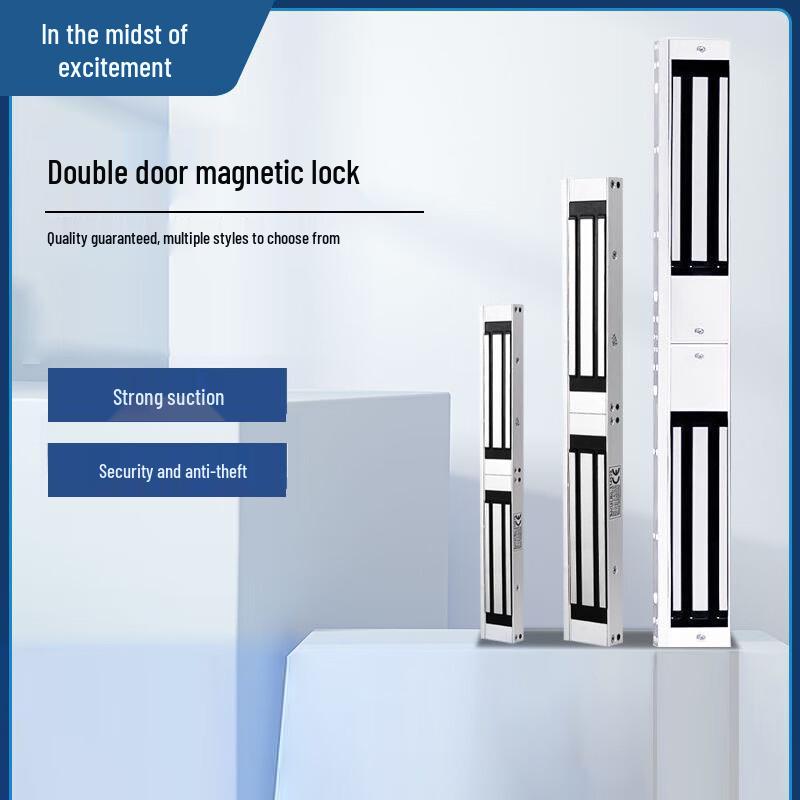 Zheng Qixing LX Double Door Magnetic Lock