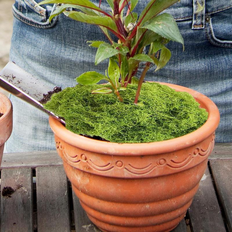 Künstliches Moos Fake-Moos Wollähnliches Dekoratives Moos Künstliches Moos Fake-Moos Für Mooswände Glasaquarium-Moos Mooskränze