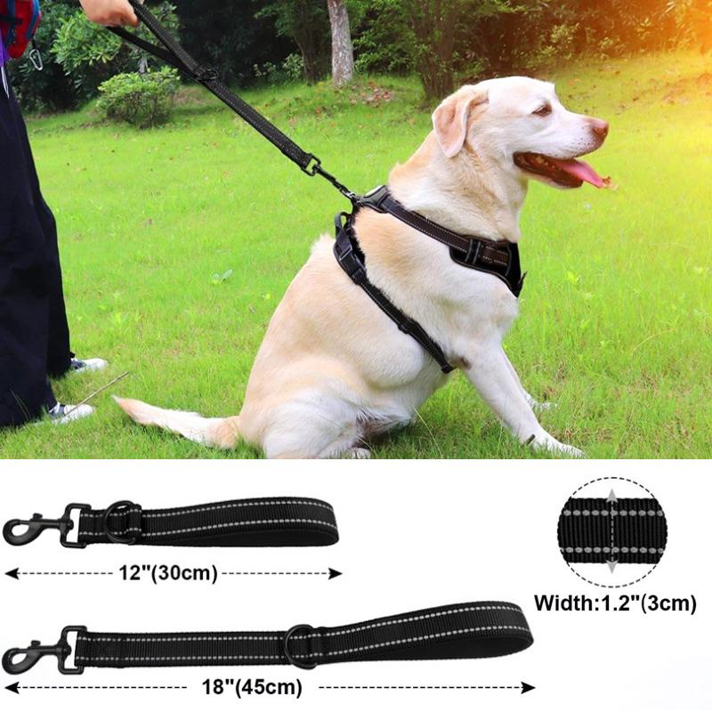 Dog Reflective Short Dogs Nylon for Dog Walking Rope Diving Material Dogs Leashes Zinc Alloy Lock Lockable 360 Degree Rotation