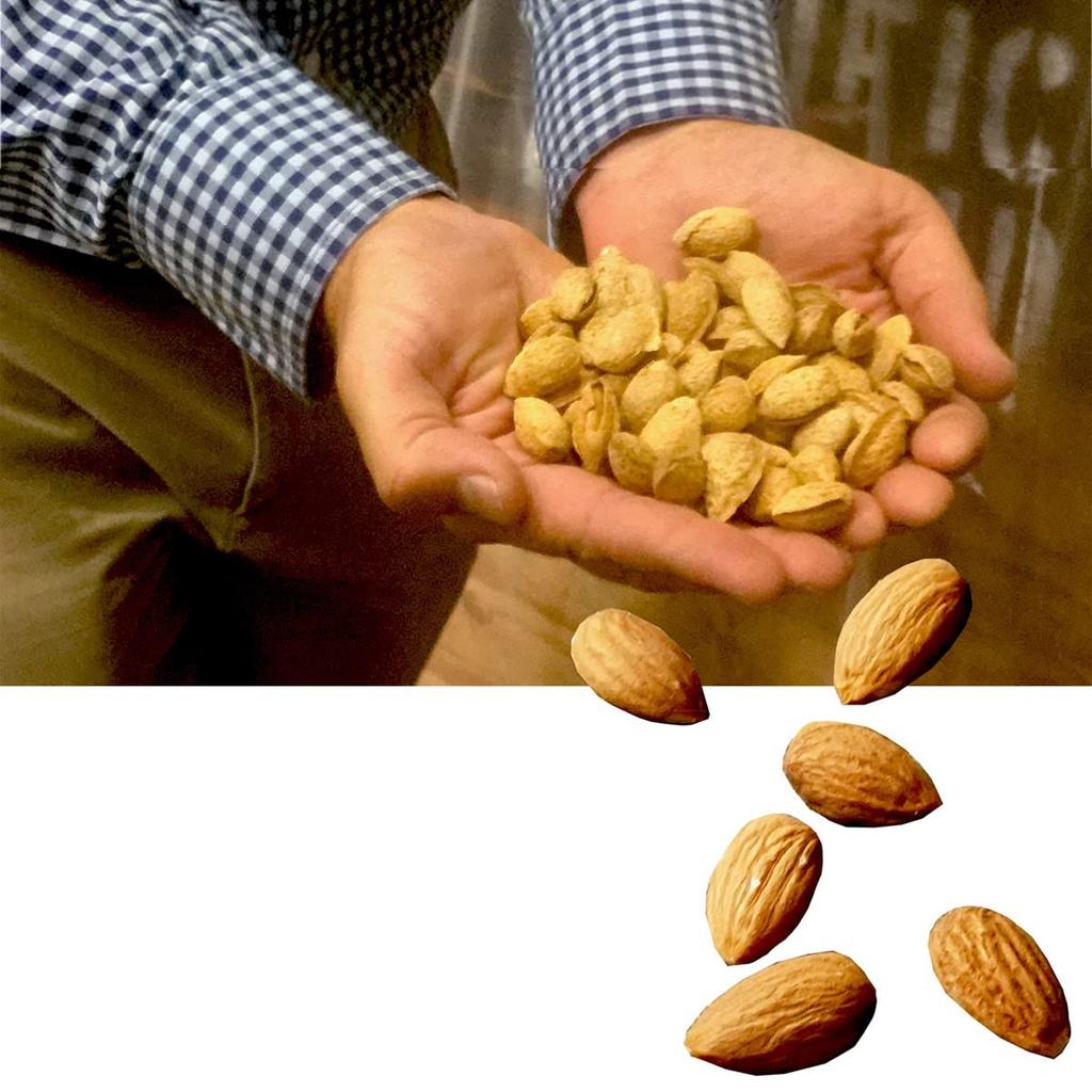 Nuts Create Konomimi Almond Powder 500g Unsalted Skin Baking No Additives California Origin