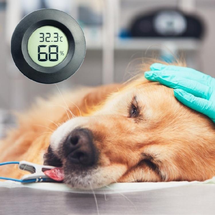 Reptile Thermometer Hygrometer LCD Digital Temperature Humidity Meter Detector