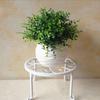 Indoor Iron Single Pot Bonsai Stand, European Style Flower Stool, Load-Bearing Up To 100 Catties for Balcony or Floor Display.