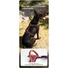 Premium No-Pull Dog Harness with Leather Handle Adjustable 3M Reflective Straps Escape-Proof Walking Lead for Medium Large Dogs