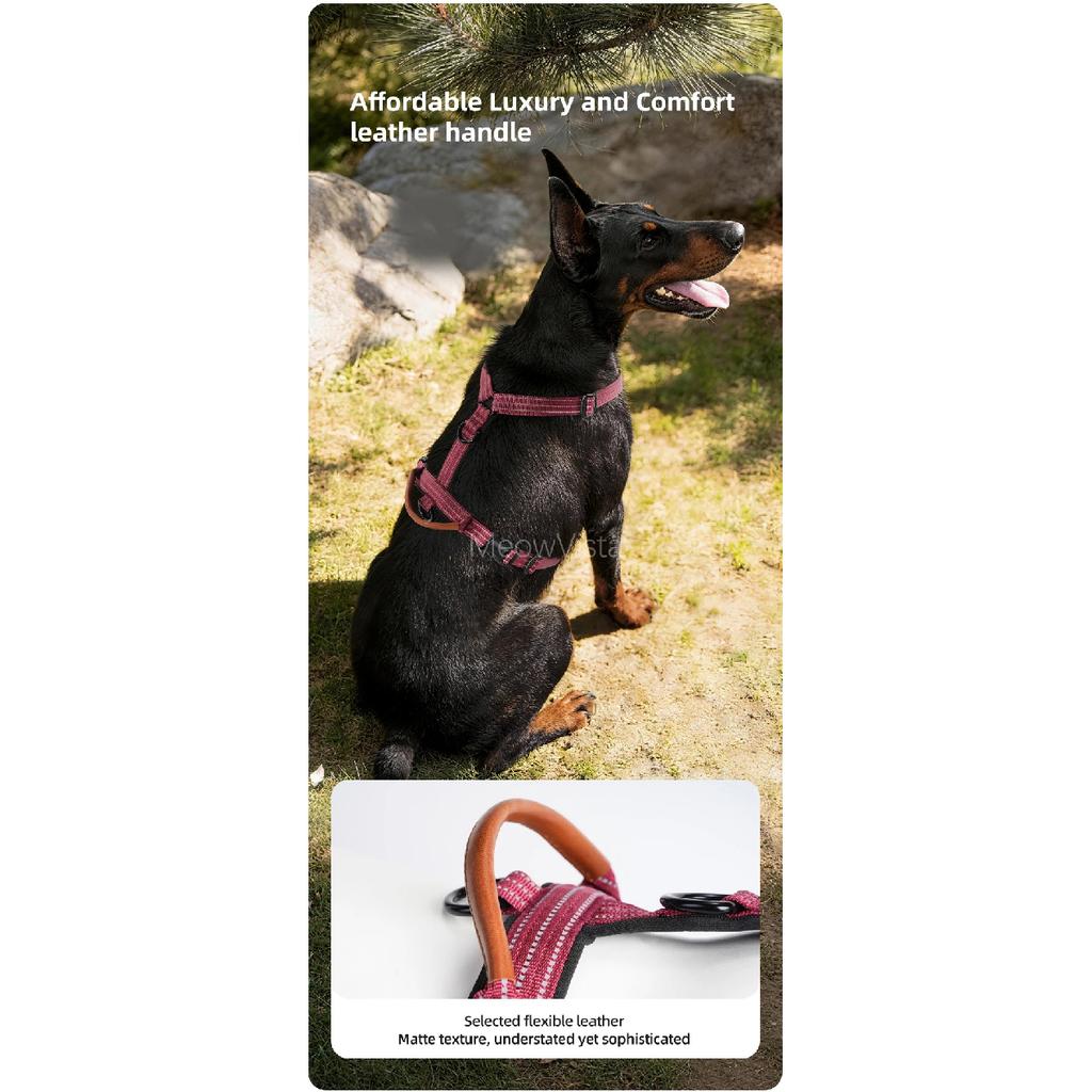 Premium No-Pull Dog Harness with Leather Handle Adjustable 3M Reflective Straps Escape-Proof Walking Lead for Medium Large Dogs