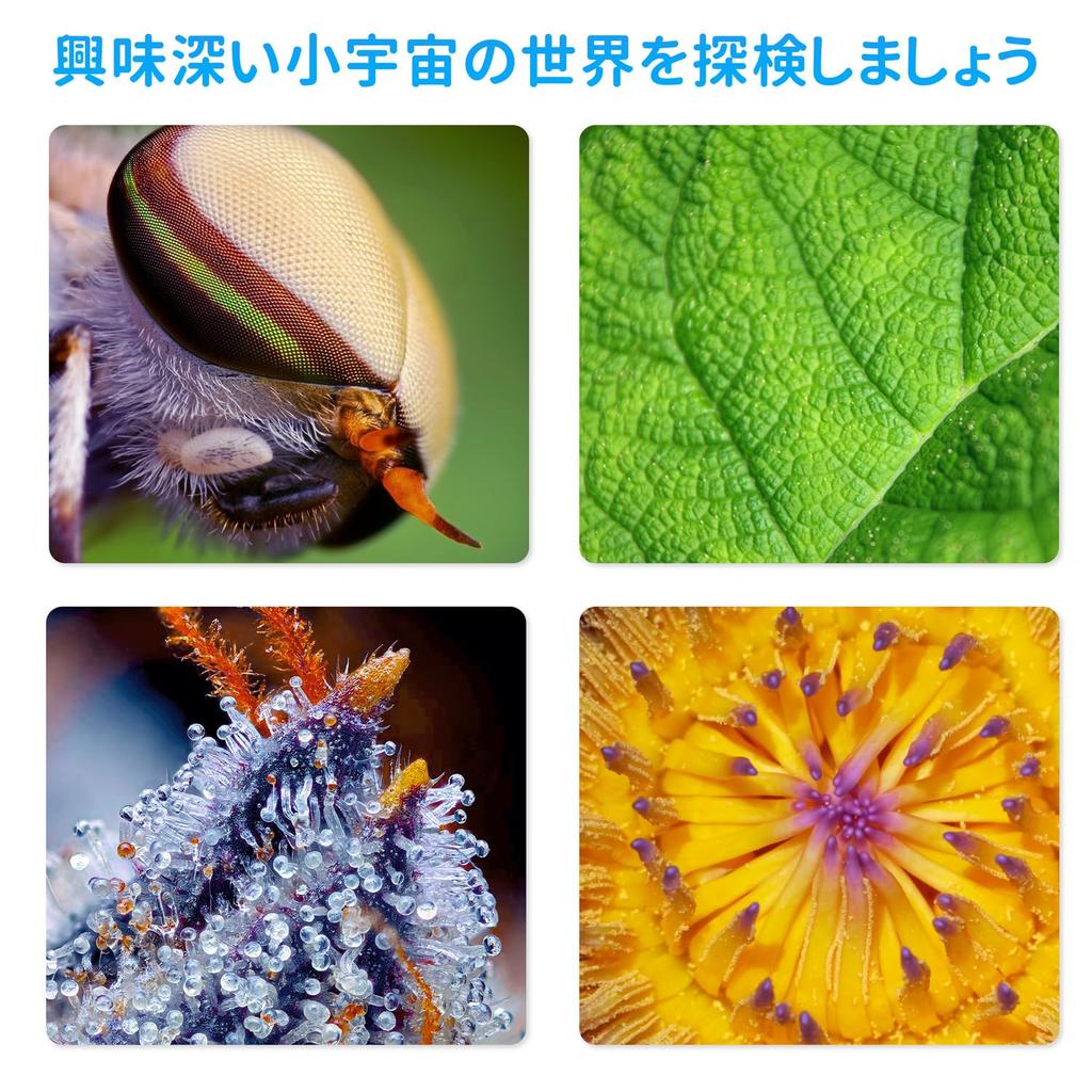 SKYBASIC Wifi Digital Microscope, 2MP 50-1000x Magnification, Portable Handheld Microscope with 8 LEDs, Compatible with iPhone, Android, iPad,