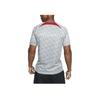Nike Liverpool 2023 Pre-Match Geometric Pattern Crew Neck Short Sleeve Football Shirt Men Tops Gray DR4904-013