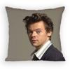 HHaRRyS Singer SStyles Pillow Case Antidustmite Pillowcase Invisible zipper silky short plush Sofa cushion cover