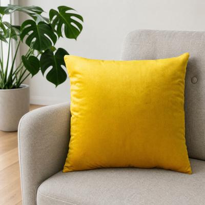 Tek Renk Kadife Yastık Kılıfı, Yumuşak Peluş Atma Yastığı Kılıfı, 17.7x17.7 İnç Pürüzsüz Kadife Yastık Kılıfı Kanepe, Yatak, Ofis için, Rahat Ev Dekorasyonu