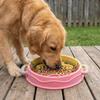 Silicone Anti-Choke Bowl Dual Handles Dog Treat Bowl Colorful Dog Slow Feeder Bowl  Pet Enrichment