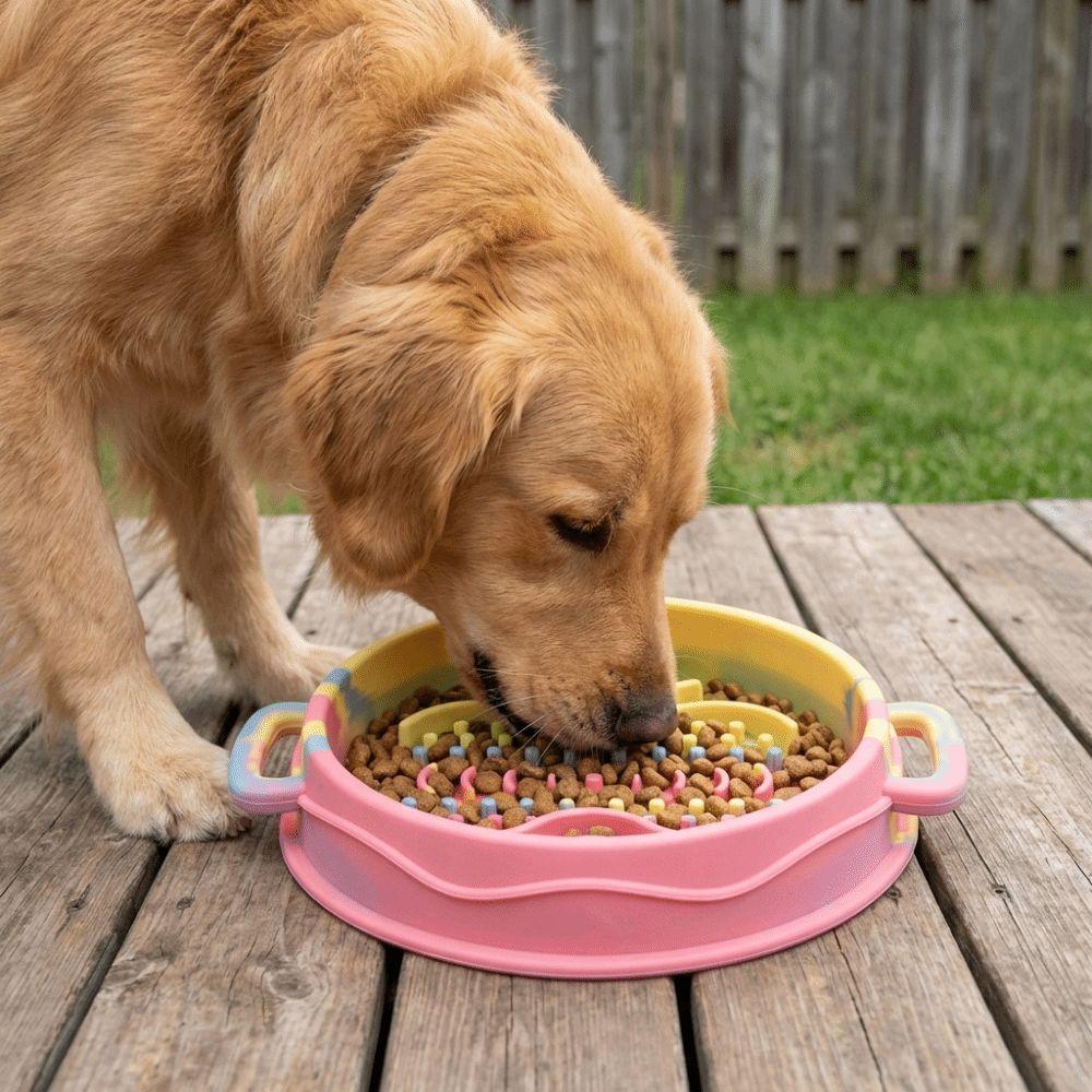 Silicone Anti-Choke Bowl Dual Handles Dog Treat Bowl Colorful Dog Slow Feeder Bowl  Pet Enrichment