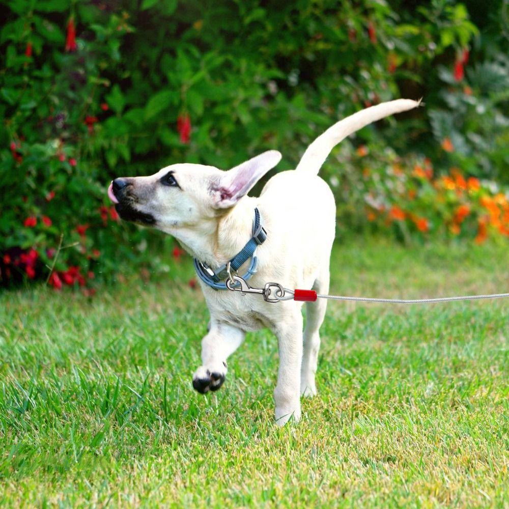 Hochleistungs-Doppelkopfleine 3/5/10 Meter Haustierkabelleine Hundeanbindekabel Camping/Wandern /Park