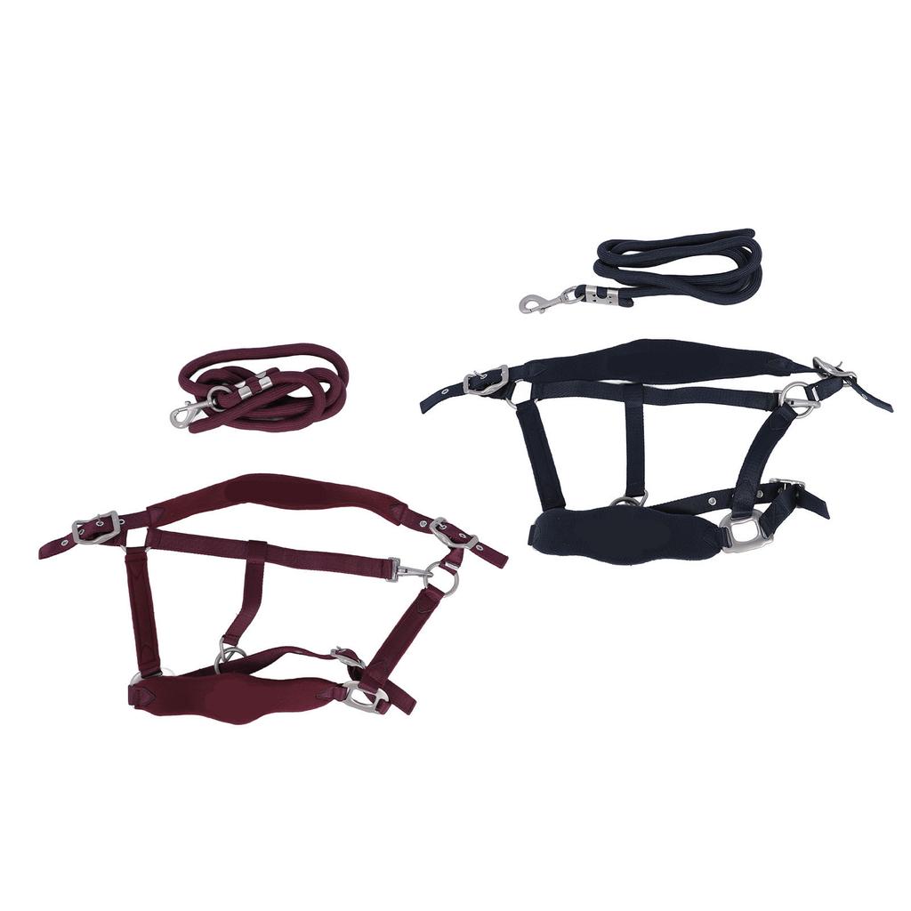 Horse Halter Set Prevent Rubbing Adjustable Horse Training Halter with 2m Horse Leash for Training D
