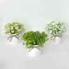 Potted With Pot Artificial Bonsai Plastic Fake Flower Bonsai Desktop Bonsai  Wedding Decoration