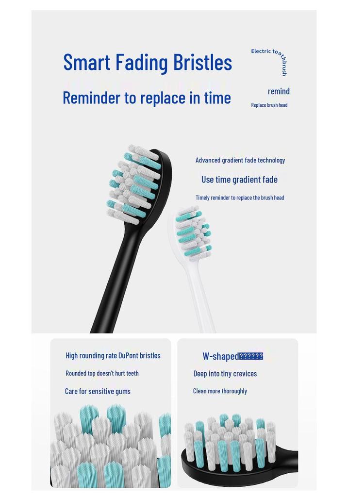 Rechargeable Electric Sonic Toothbrush with Magnetic Levitation Motor and Large Capacity Battery, Customizable Logo