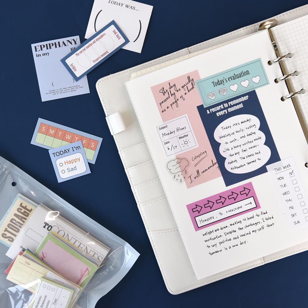 Monolike Record Sticker Pack Variety for Fancy Stickers Today's (102 Stickers) - Pack, Diaries, Scrapbooks, Waterproof,