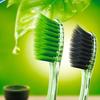 Crest Toothbrush & Toothpaste Oral Care Kit