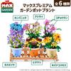 ZURU Max Premium Garden Pot Phalaenopsis Miniature Block Collection Capsule Authentic Plants 169-Piece Toy,