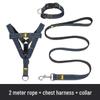 Multi-Size Dog Leash & Collar Set for Walking - Suitable for Small To Large Breeds