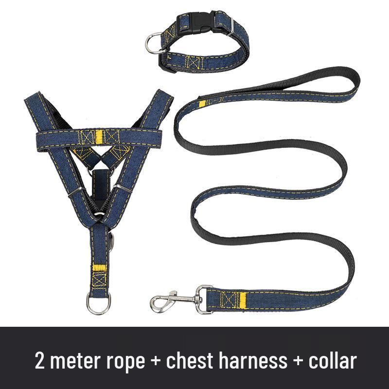 Multi-Size Dog Leash & Collar Set for Walking - Suitable for Small To Large Breeds