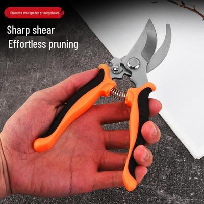 Cura delle piante – Cesoie