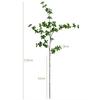 WillingYou Fake Green Enkianthus Moniliforme Super Realistic H120cm Artificial Houseplant 2 Branches Fake Green Entrance Decoration Store Display