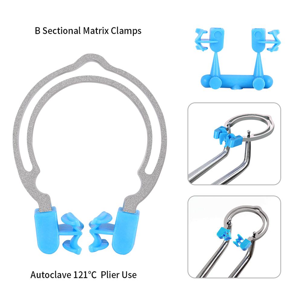 Dental Matrix Sectional Contoured Matrices Clamps Model With Replacement Parts For Dental Restoration Tools