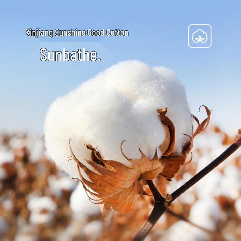 Zui Shi Huo Pure Cotton Face Towel 3-Pack