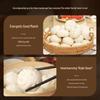 Feng Wei Pai Frozen Asian Breakfast & Snacks