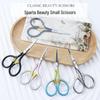 Retro Embossed Stainless Steel Eyebrow & Household Scissors - Mini Portable Rust-resistant Design for Tea Ceremony & Flower Use.