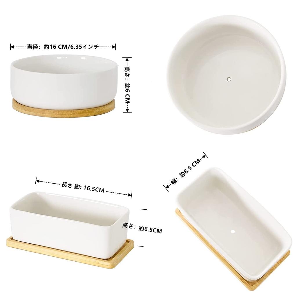 FaceColor Ceramic Succulent Cactus Set of 2 Round and One Mini Bonsai Pots with Drainage Holes and White Suitable for Living and Gardens Not Pots,