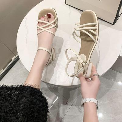 Roman Sandals Women's Summer 2025 New Mid-heel Thick Heel Fairy Style Lady Square Head Fashion High Heels
