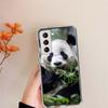 Panda Baby, Giant Panda Family Clear Phone Cases for Samsung S26 Ultra Galaxy S25 Edge S24 S23 FE S21 Plus S20 S22 S10 Cover Pat