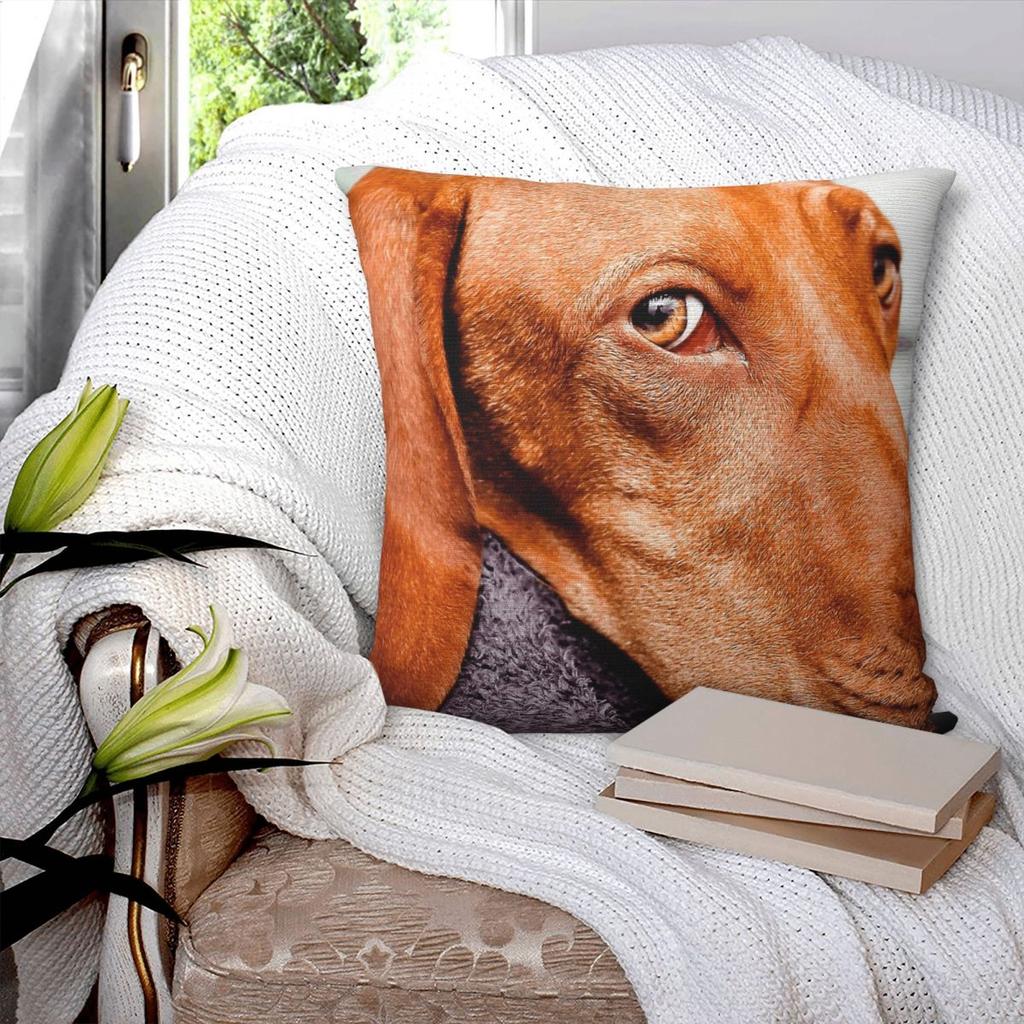 The Eyes Have It Vizsla Hond Kussensloop Polyester Linnen Fluweel Patroon Rits Decoratief Bank Zitkussenhoes
