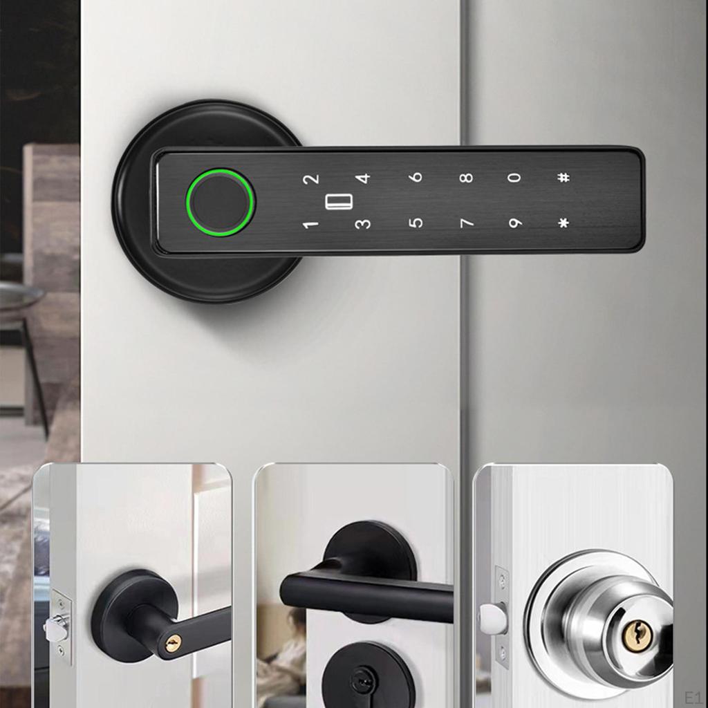 Door Lock with Physical Keys Biometric Knob Electronic Digital Support Multiple Languages
