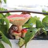 Creative Animal Feeding Trough Waterproof Art Statue Rustic Bird Feederc  Parrot