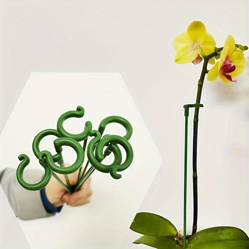 10pcs Green Plant Support Sticks Plastic Potted Plants Phalaenopsis Orchid Home Garden Plant Support Clips Gardening Accesorries