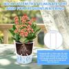 Self Watering Planter Lazy Hydroponic Self-Absorbent Flower Pot Ideal for Small Spaces Home Balcony Desk Herbs Flowers