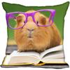 Living Room Pillowcase Guinea Pig   Modern Home