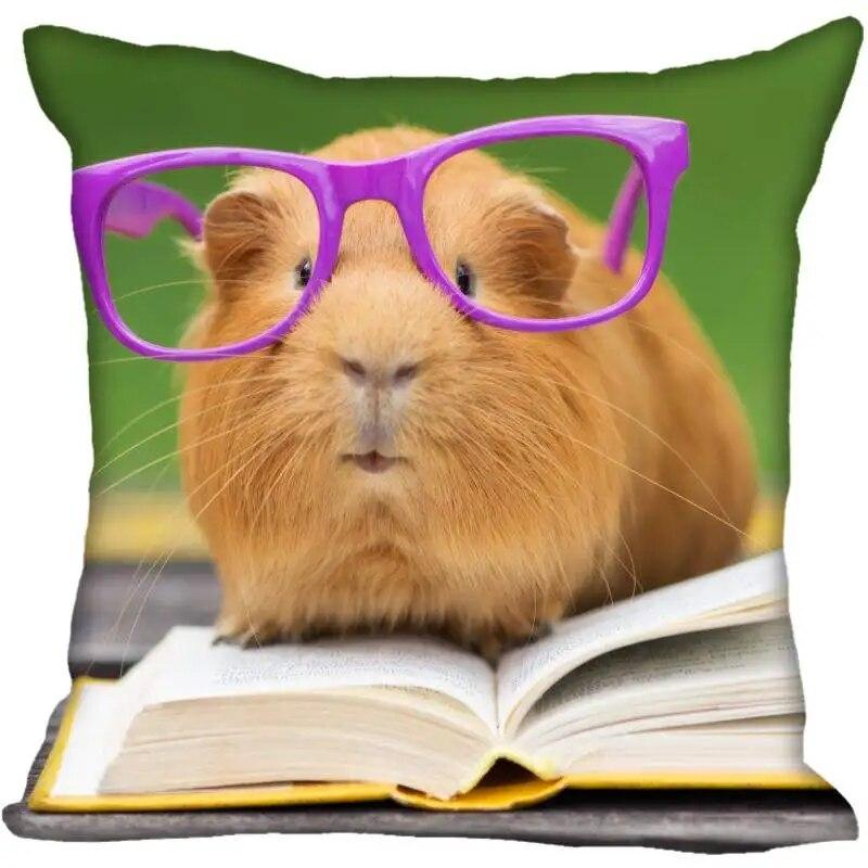 Living Room Pillowcase Guinea Pig   Modern Home