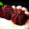 Small-Leaf Red Sandalwood Handheld Fitness Ball - Walnut Wood for Adults