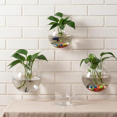 Minimalist Glass Wall Mounted Round Shape Vase Hydroponic Plant Glass Bottle Creative Green Plant Decoration for Living Room