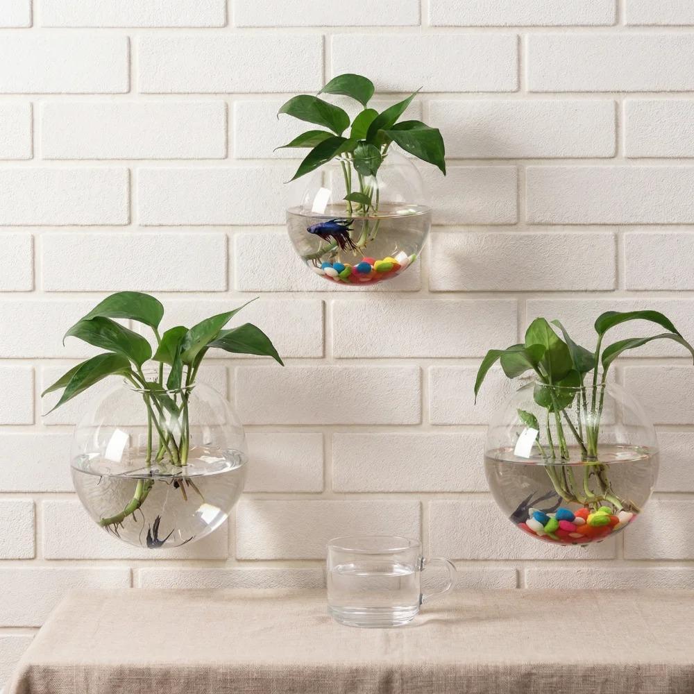 Minimalist Glass Wall Mounted Round Shape Vase Hydroponic Plant Glass Bottle Creative Green Plant Decoration for Living Room