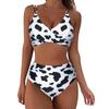 Women's Floral Print V Neck High Waisted Two Piece Swimsuit