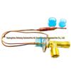 Truck Air Conditioning Expansion Valve for Refrigeration & Environmental Protection