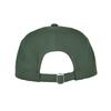Eiieii Web Logo 5 Pannel Ball Cap - [Green]