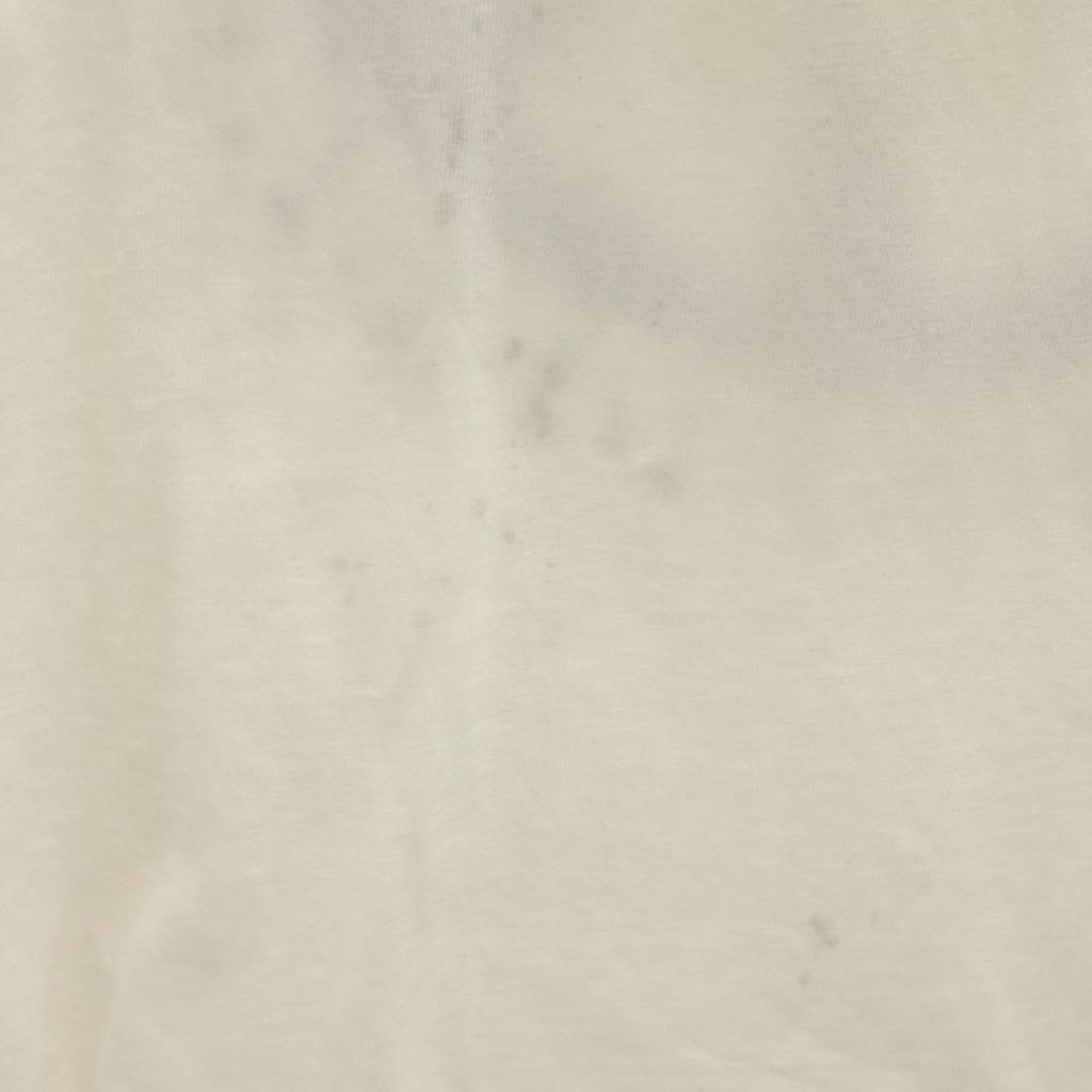 HANES 80s 90s Made In USA Old Back Print Lacrosse Short Sleeve T-shirt Men's Used