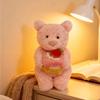Plush Toys, Cute And Perfect Birthday Gifts For Friends And Classmates, Graduation Gifts