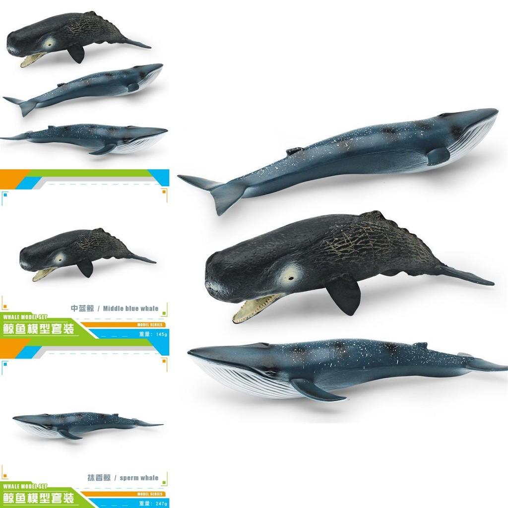 High-quality Realistic Whale Figurines Ideal For Kids' Ocean Education And Decor