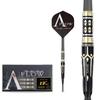 Dynasty Ibis2 22g tungsten 90% darts