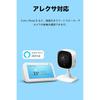 TP-Link WiFi Camera, microSD compatible, 1080p, Night Vision, Motion Detection, Two-way Audio, 3-year manufacturer's warranty, Tapo C100/A